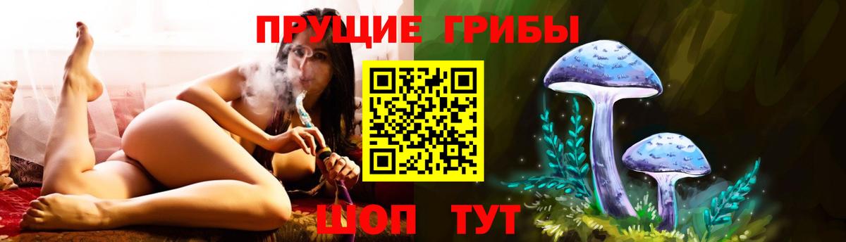 Новочебоксарск  Псилоцибиновые грибы Magic Shrooms  Галлюциногенные грибы Psilocybe  Вход с VPN 